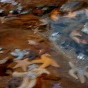 Meet your Posher, Nunya